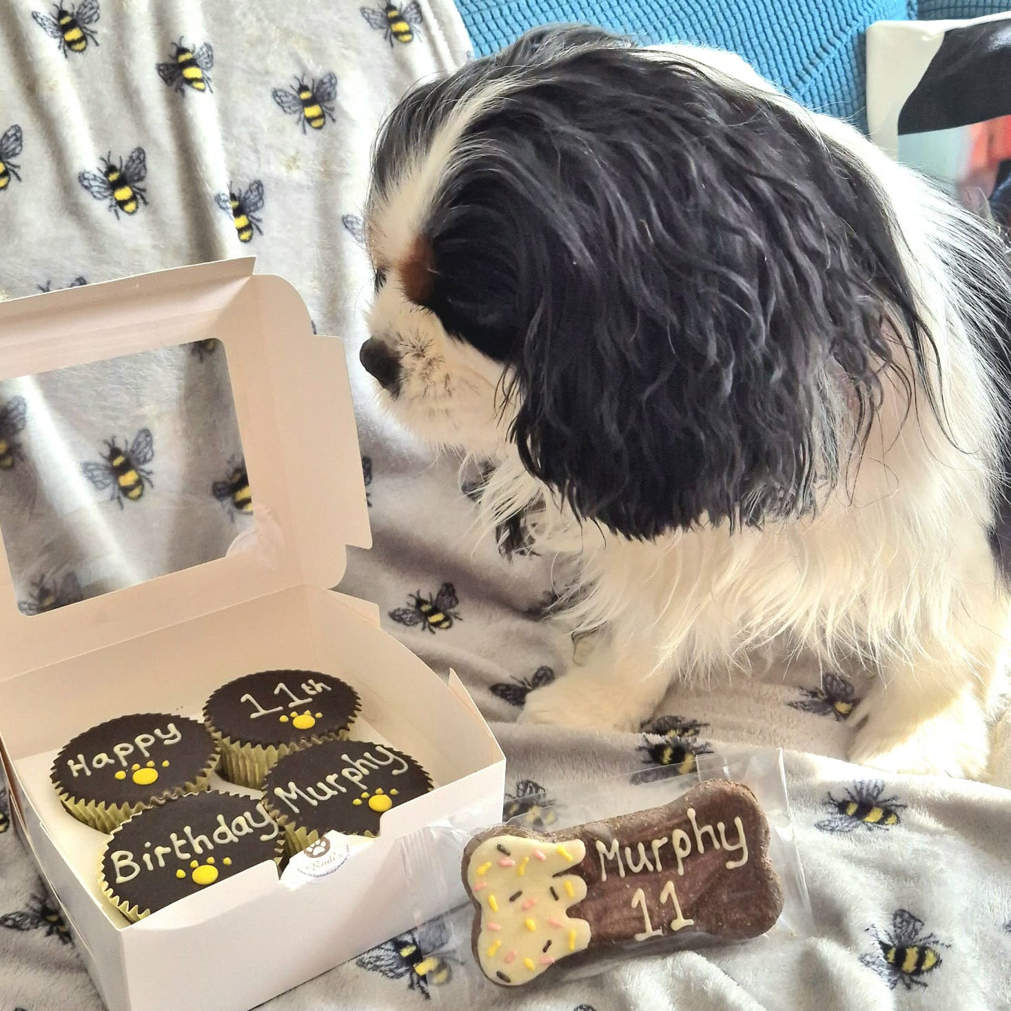 2024_2025 - Murphy - 4.jpg